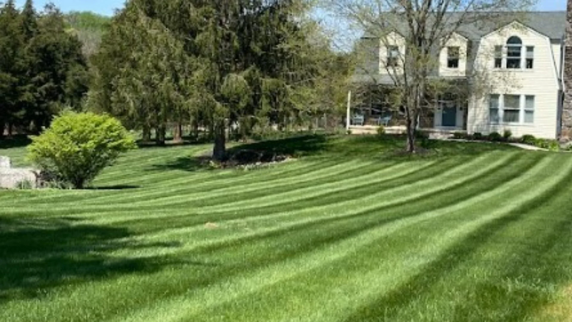 Green residential lawn in Sykesville, MD after a core aeration service.