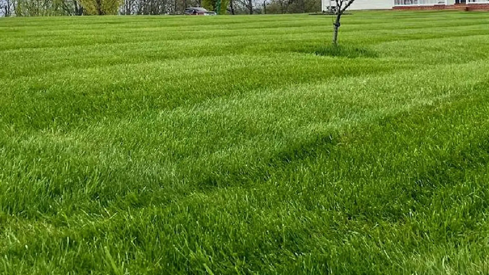 Healthy Mowing Tips for your Lawn