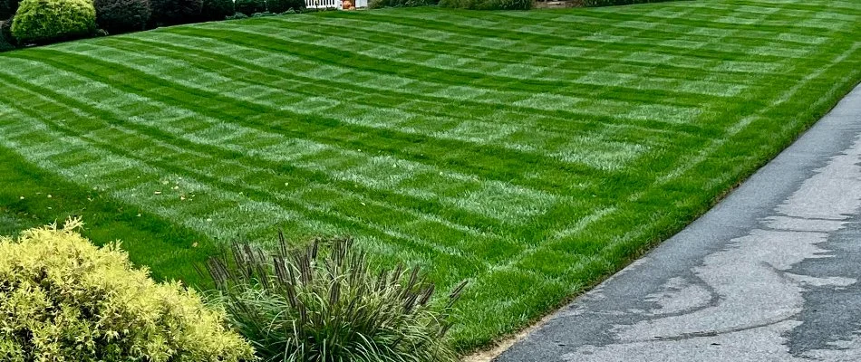 Healthy, green lawn on a property in Westminster, MD.