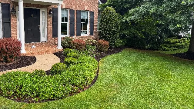 Shrubs in front of house in Ellicott City, MD.