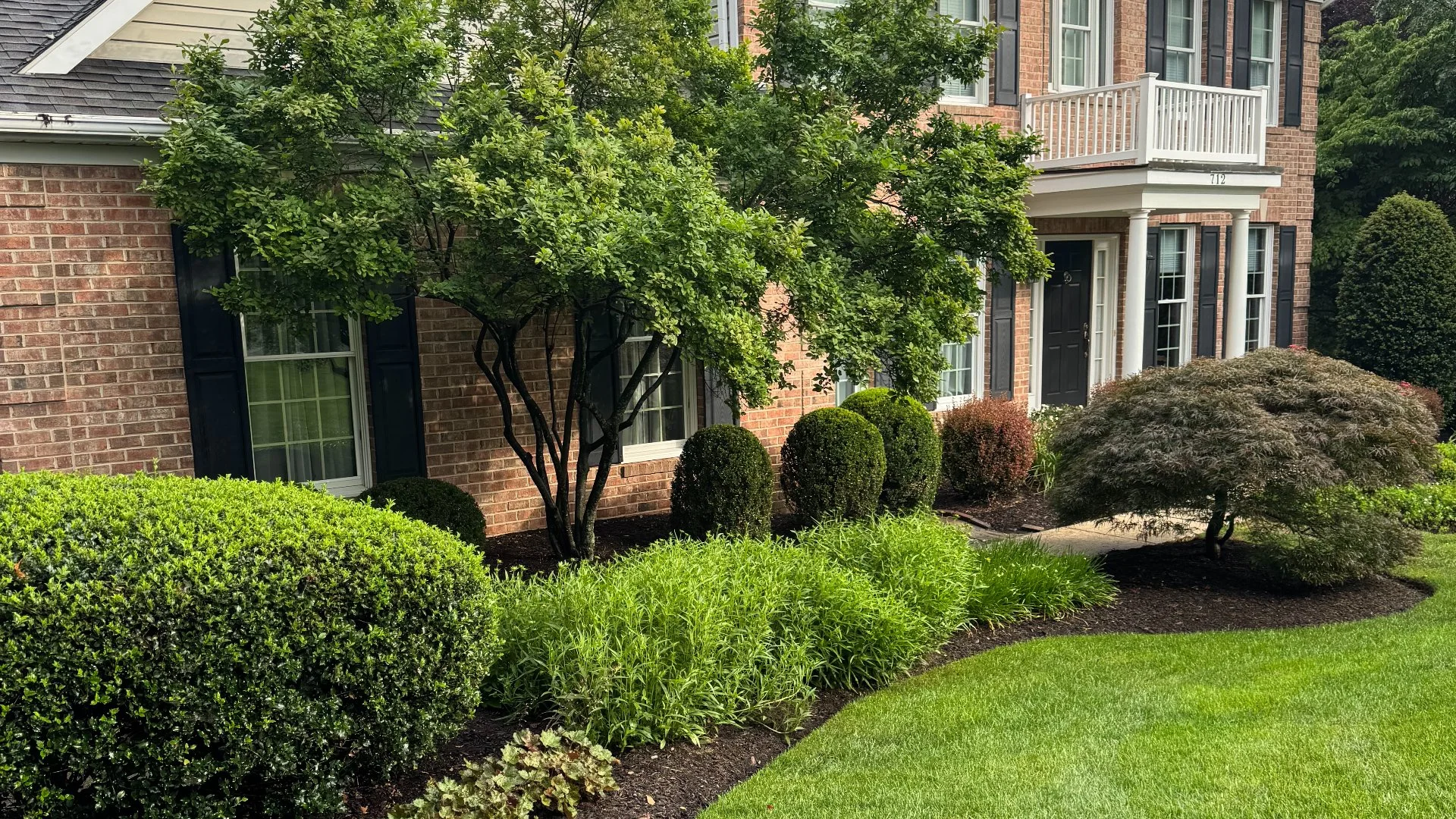 Shrubs in front of a brick house in Westminster, MD.