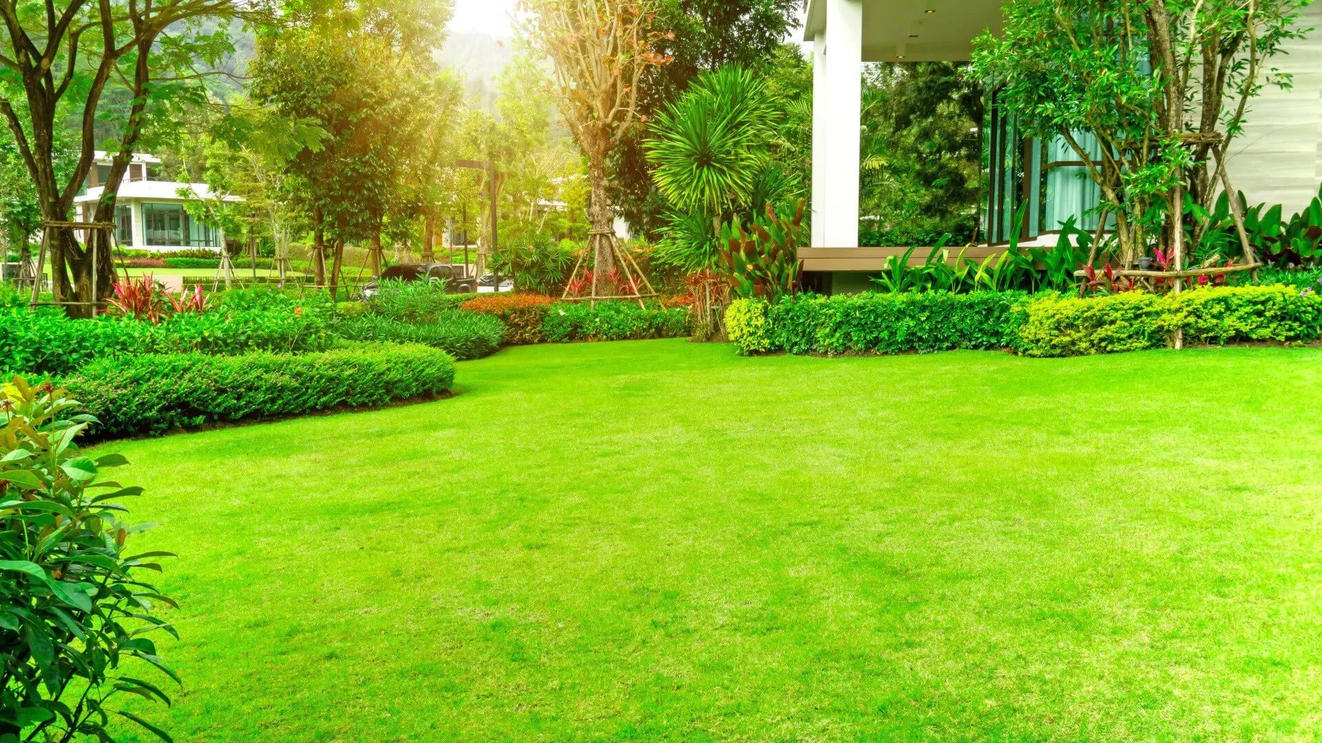 The Best Things You Can Do for Your Lawn