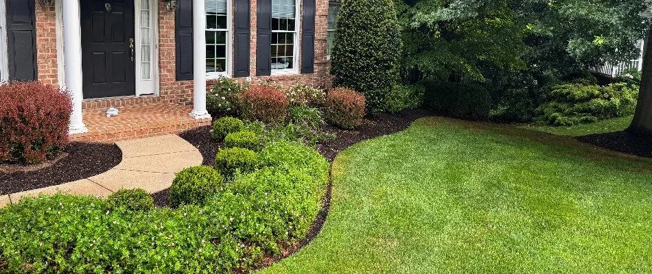 Front landscape bed in Finksburg, MD, with healthy plants.