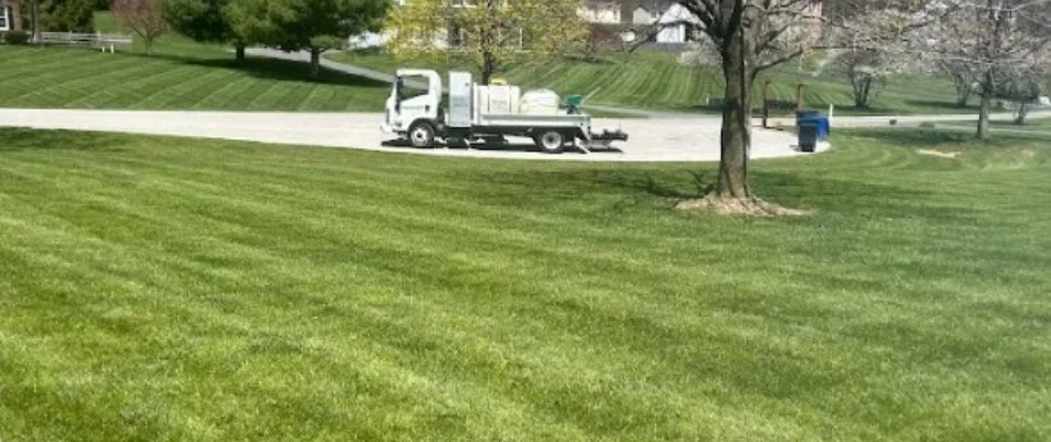 Green lawn, tree, and truck in Frederick, MD.