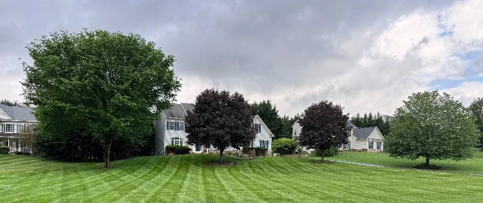 House behind some trees on a lawn in Westminster, MD.