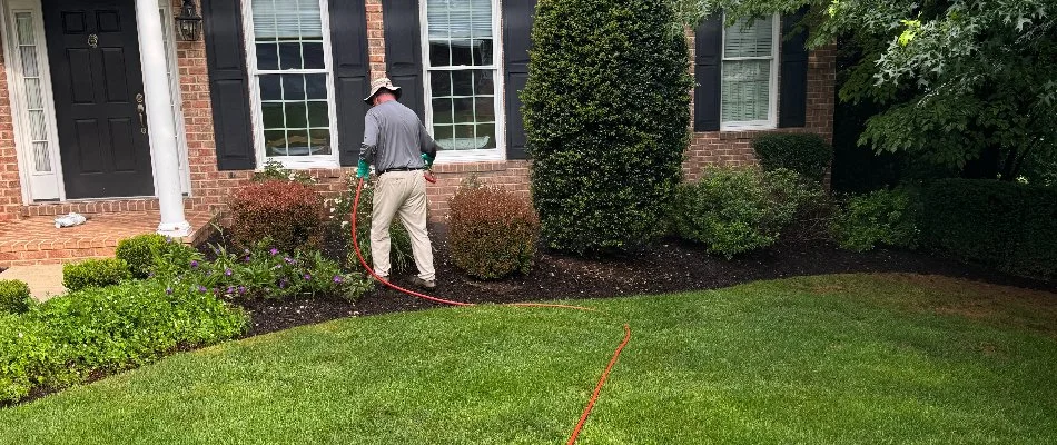Worker in a front landscape in Columbia, MD, treating plants.